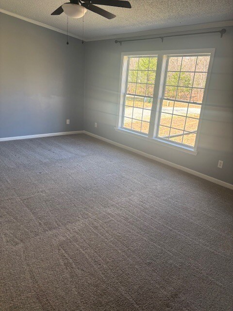 Foto del edificio - 397 Lester Dr