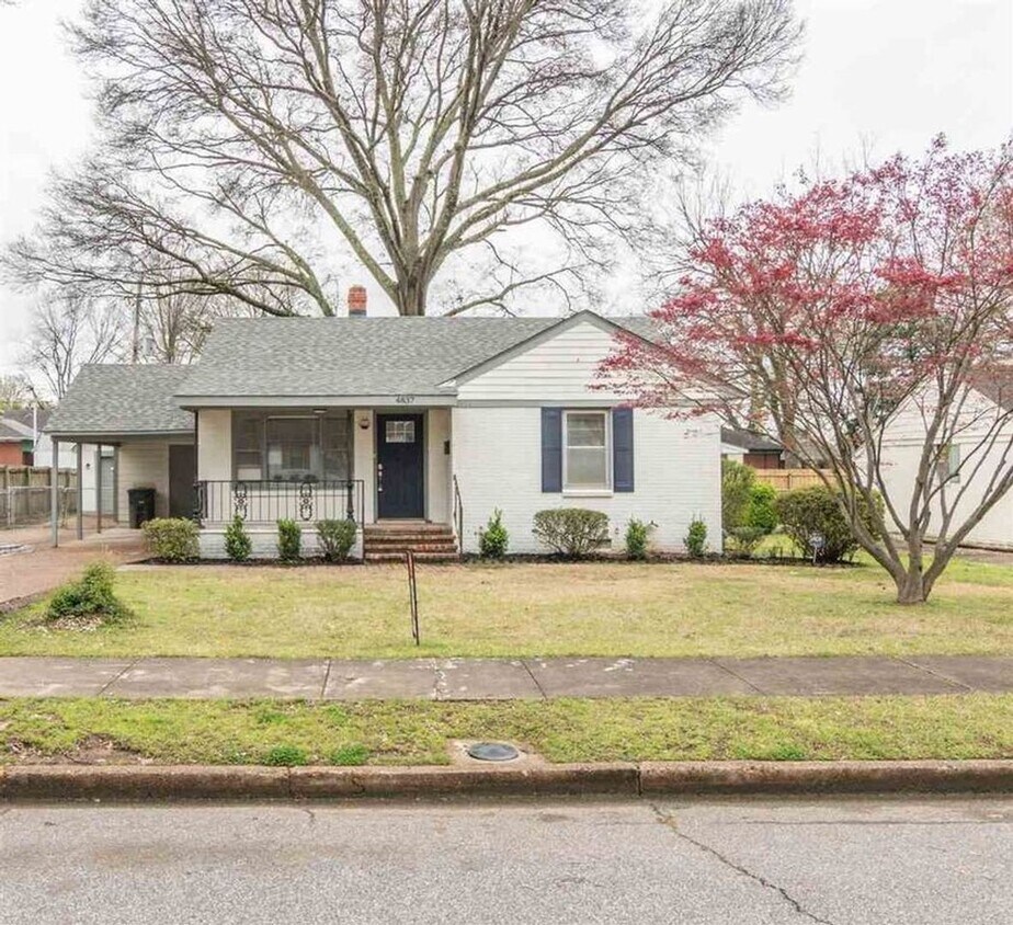 Primary Photo - FULLY RENOVATED - 3BR/2BA in Colonial Acre...