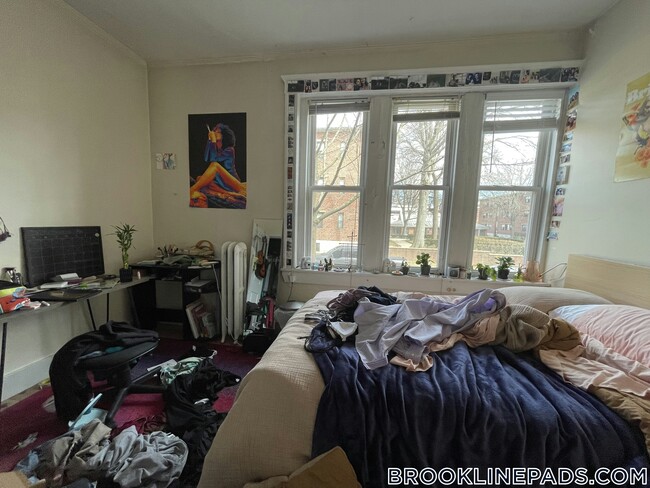 Building Photo - 62 Egmont St