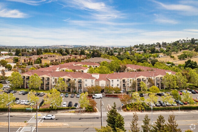 Aerial View - Bay View Vista