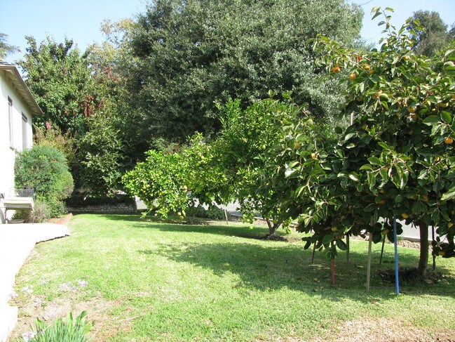 árboles de frutas - 1933 Meridian Ave