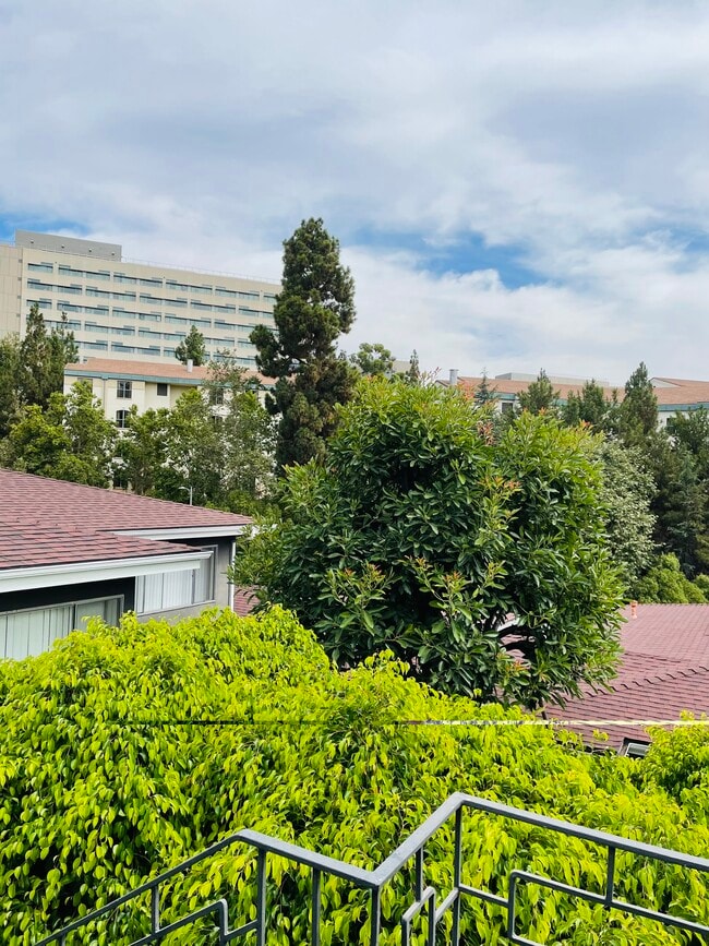 Building Photo - Westwood Plaza Apartments
