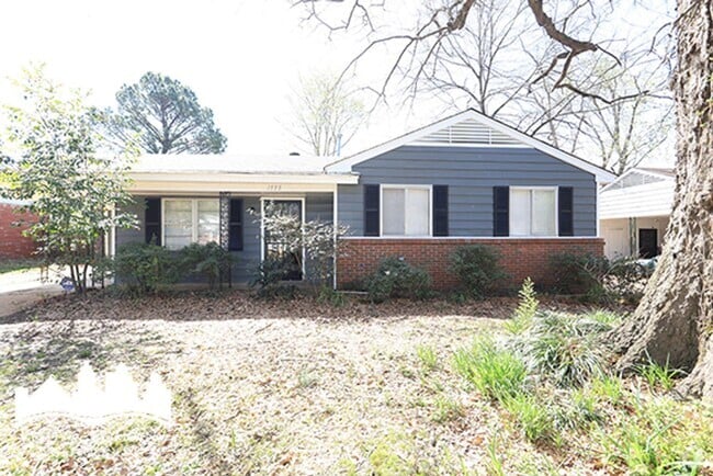 Building Photo - 1555 Staunton Dr