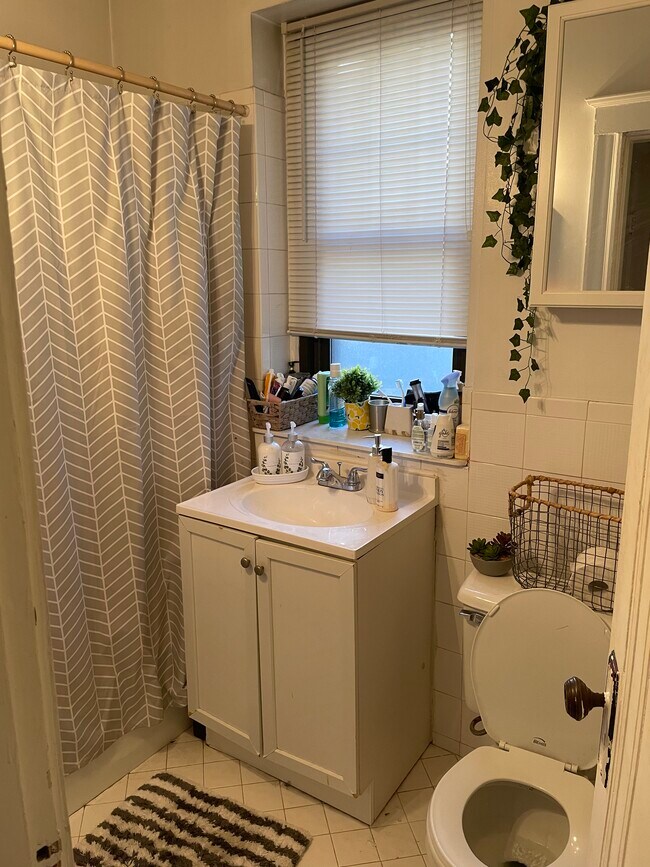 Baño - 1754 Commonwealth Avenue
