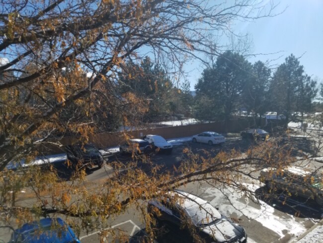 Foto del edificio - 9212 E Arbor Cir