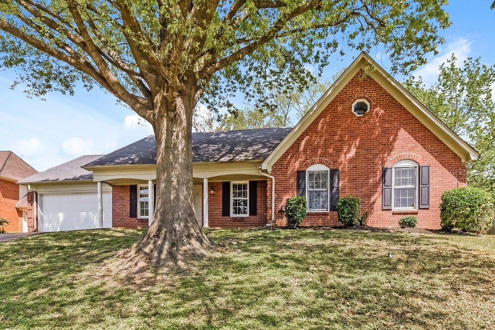 Primary Photo - 8244 Weatherwood Ln