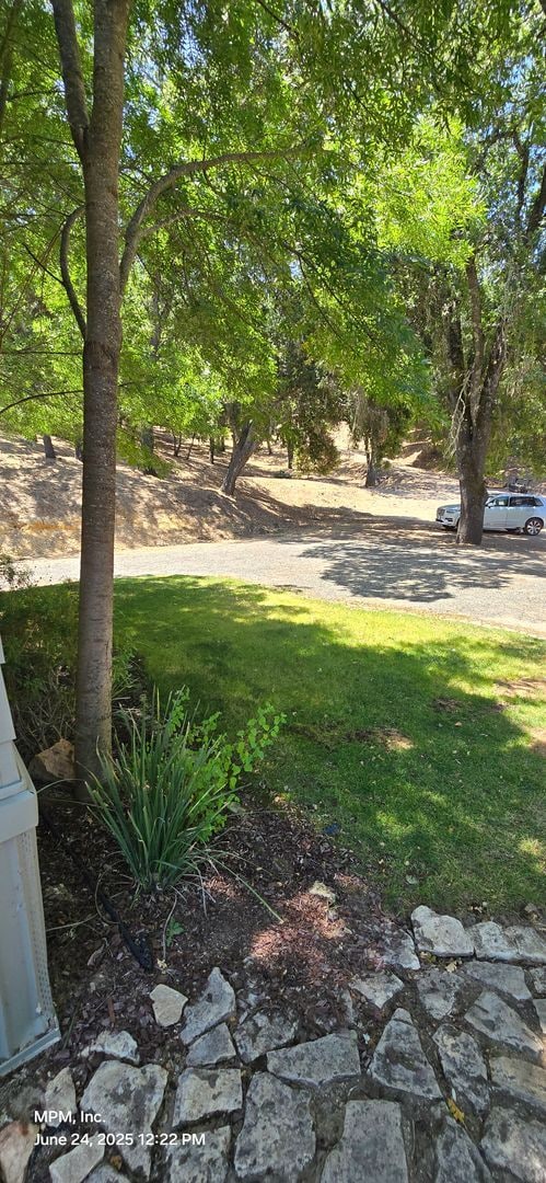 Building Photo - Large 3 bedroom home in the country
