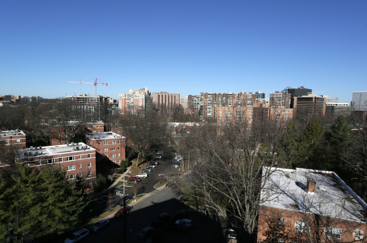 Primary Photo - Robin Towers