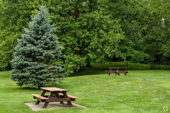Orleans Park features picnic tables and open space for family activities in Perrysburg