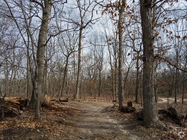 Trails like this one has lots of shade because of the trees and is a go-to spot for good views.