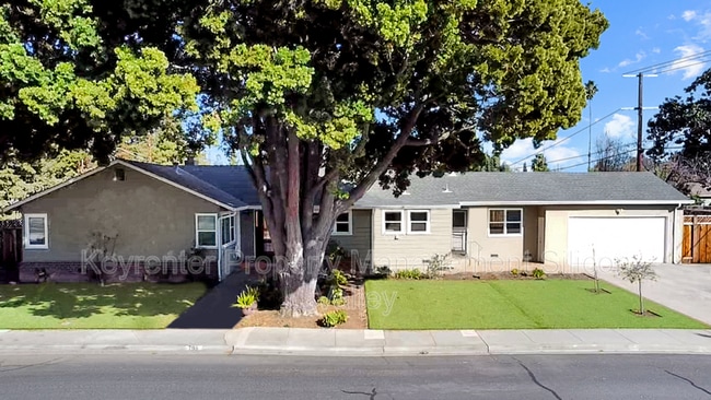 Building Photo - 795 Viader Ct