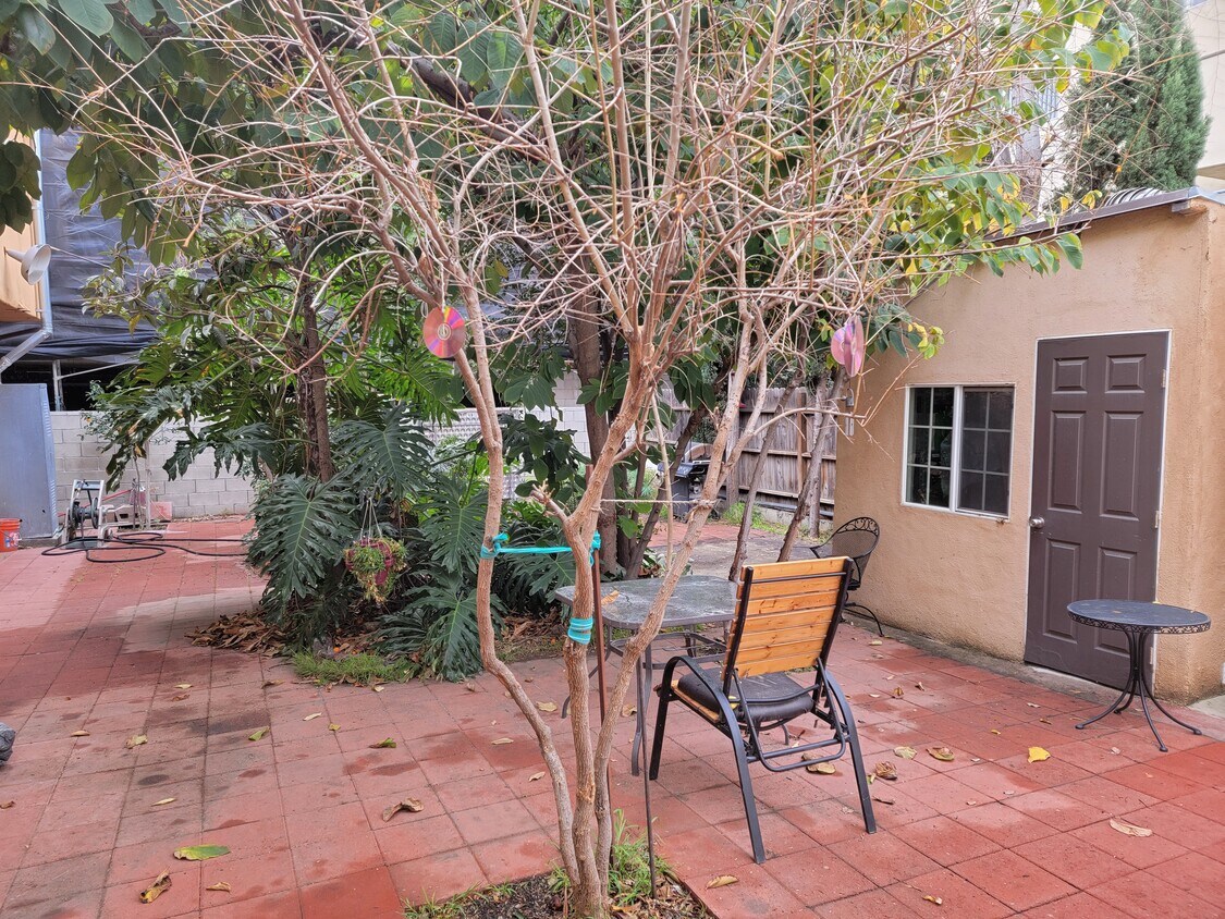 Backyard - 1529 N Hobart Blvd