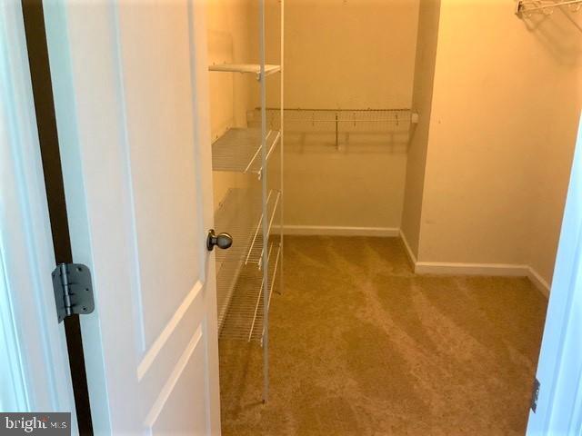 Foto del edificio - 8708 Sagebrush Ln