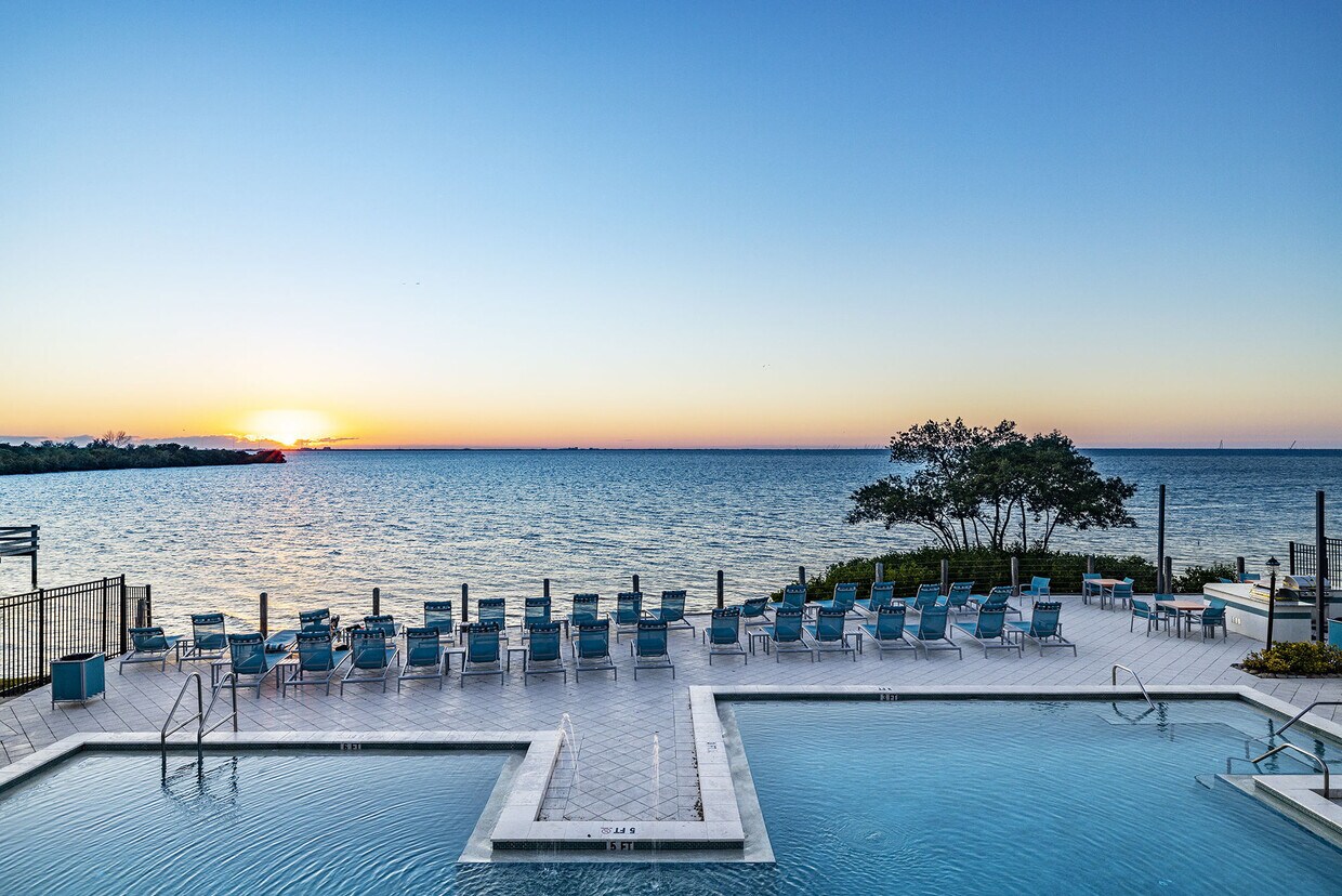 The Delmar Alquileres en Tampa, FL