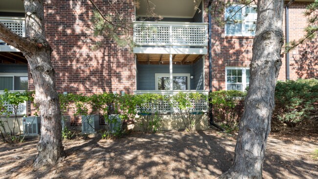 Foto del edificio - 627 Belinder Ln