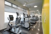 This fitness center offers a comprehensive workout environment designed to support a wide range of exercise routines. The space is organized across a single floor and is divided into distinct functional zones, each tailored to a specific type of training.

The main cardio area features multiple treadmills, elliptical machines, and a stationary bike, all positioned along a bank of windows dressed with roller shades that allow for diffused natural light. Ceiling fans and pendant lighting contribute to a comfortable and well-lit atmosphere. The polished concrete flooring adds a clean, modern aesthetic throughout this zone.

A dedicated free weights room is outfitted with a full rack of dumbbells in varying sizes, kettlebells, medicine balls, and a flat bench — all set against a wall of floor-to-ceiling mirrors that visually expand the space and support proper form during training. Rubber flooring provides traction and shock absorption in this area.

A separate strength and functional training zone houses a cable machine, a captain's chair for core work, and additional strength equipment. Built-in shelving and storage cubbies keep the area organized and accessible.

The facility also includes a private restroom finished with penny tile flooring, a wall-mounted sink, and clean white walls, ensuring convenience for users. Overall, the space is modern, functional, and thoughtfully arranged to serve a variety of fitness needs.