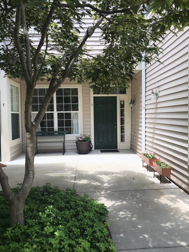 Entry - 1305 Windleaf Dr