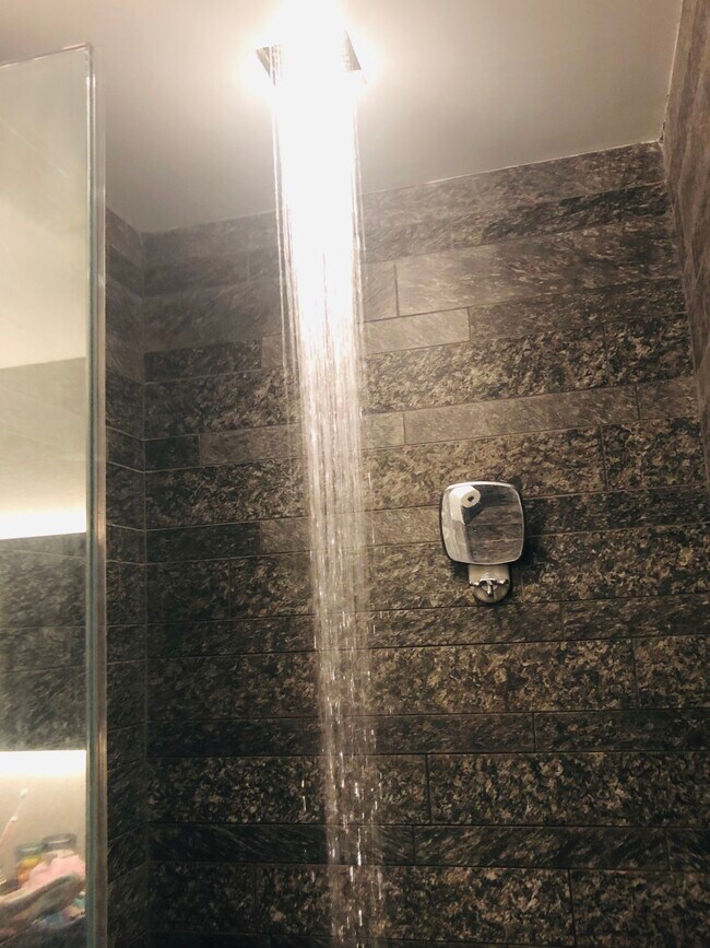 Recessed Rain Shower - 20 Pine St