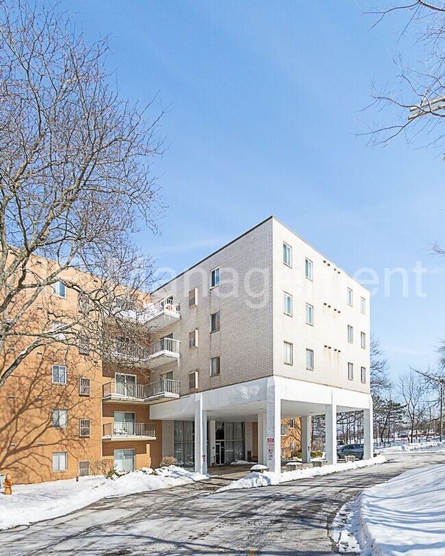 Building Photo - Bright 2BD Condo in N. Olmsted