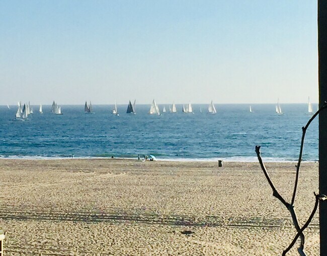 View from patio - 7 Fleet St