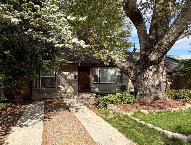 Building Photo - 916 Kenyon St