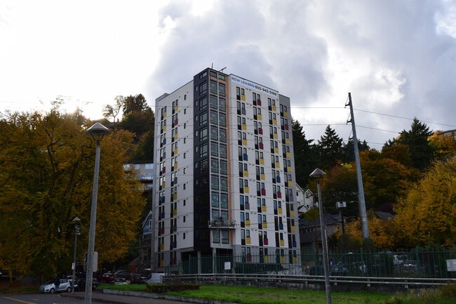 Building Photo - Park Avenue Apartments
