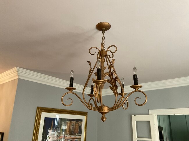 Beautiful chandelier above the dining table - 825 Forest Ave