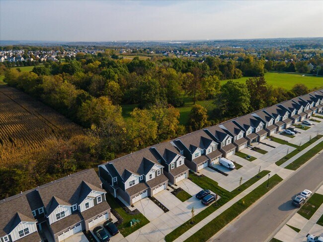 Building Photo - 4852 Osprey Pointe Dr