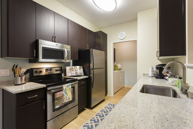 One Bedroom Kitchen - Avalon Campbell