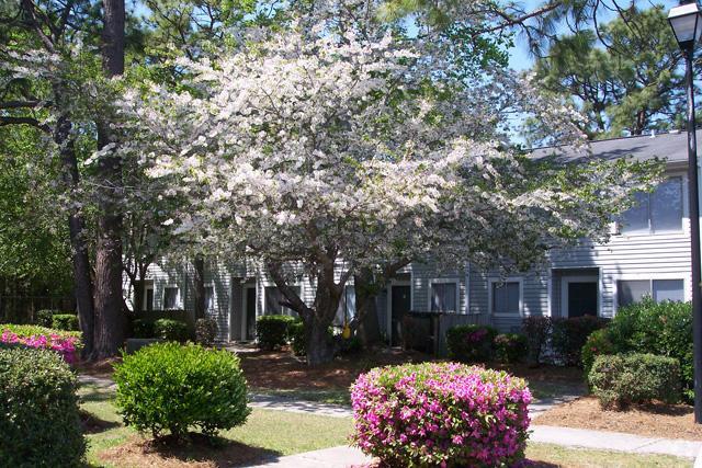 Apartments Condos For Rent In Wilmington Nc Apartments Condos For Rent In Wilmington Nc