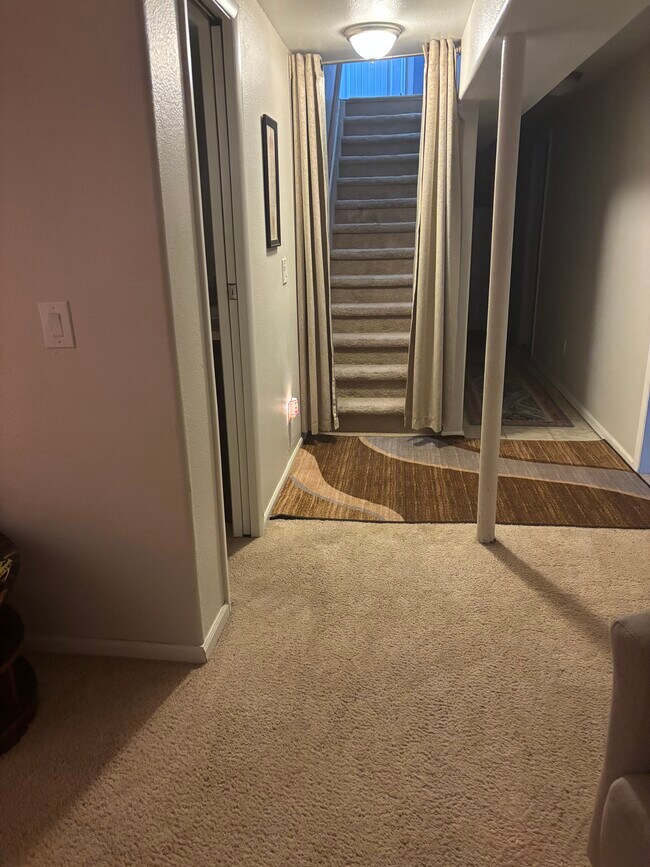 Entry to living room - 3740 E 99th Way