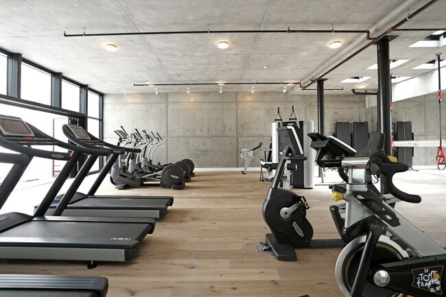 Gimnasio - Alchemy