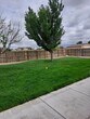 Foto principal - ALL PROSPECTIVE TENANTS MUST SUBMIT A $58 ...