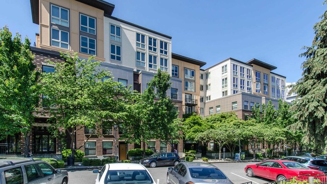 Alcyone Apartments Seattle Wa Apartments Com