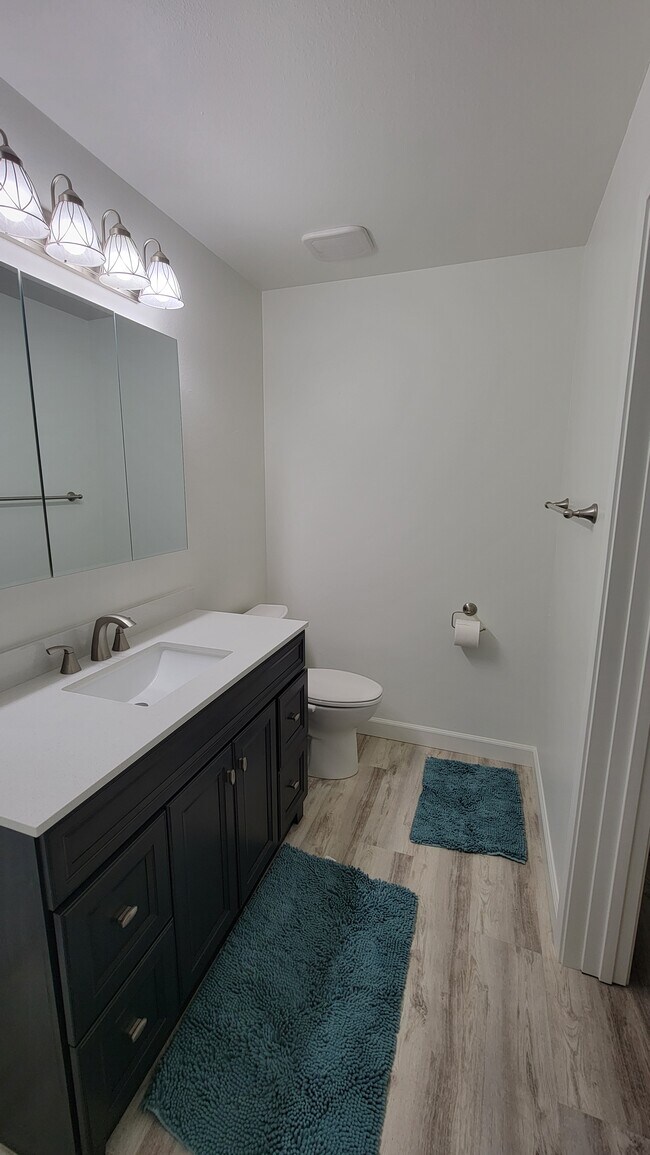 Master Bathroom - 1109 Wildrose Ct