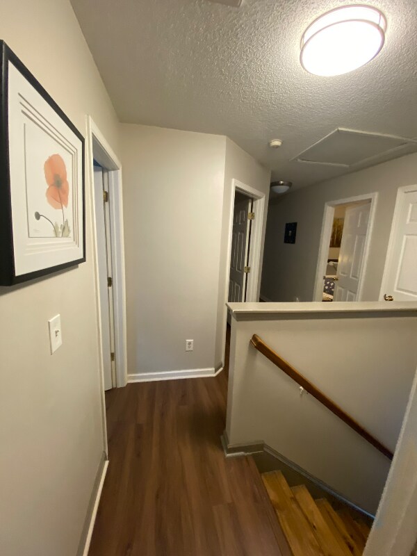 Foto del edificio - 7434 Frances Irene Dr