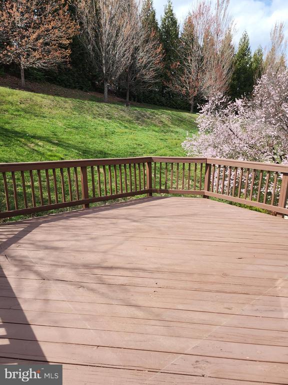 Foto del edificio - 507 Sylvan Ct