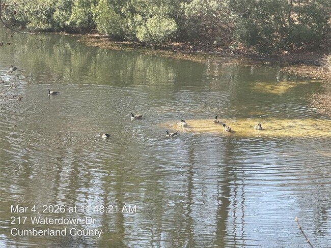 Foto del edificio - 217 Waterdown Dr