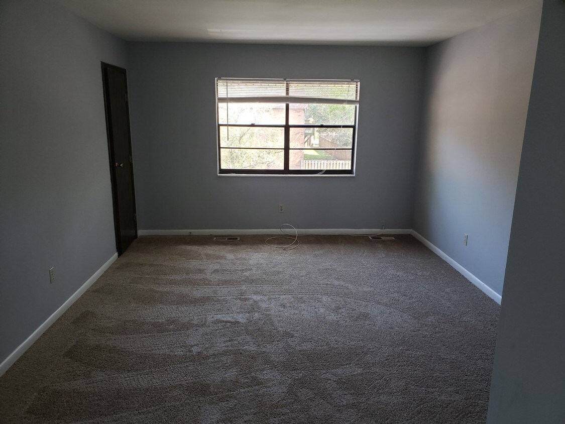 Living room - 437 S Clay Ave