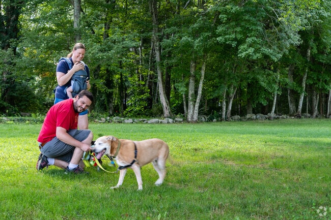 Families and their dogs enjoy sunny days at the park in Maple Farms, Bozrah, CT.