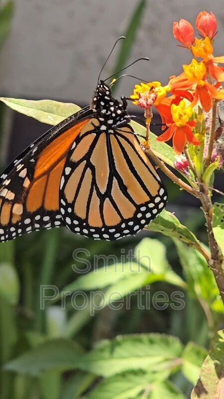 Photo - 2223 248th St Apartment