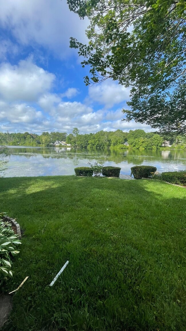 Backyard - 20 Lakeview Pl