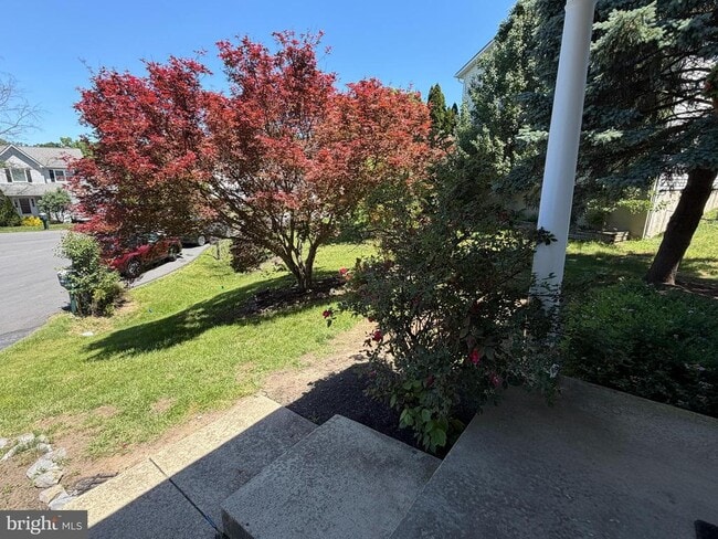 Foto del edificio - 407 Tamarack Cir