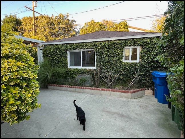 Building Photo - 4350 Corinth Ave