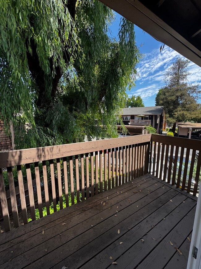 Building Photo - 1002 Cabrillo Park Dr