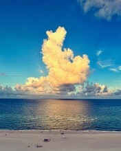 Building Photo - 5601 Collins Ave