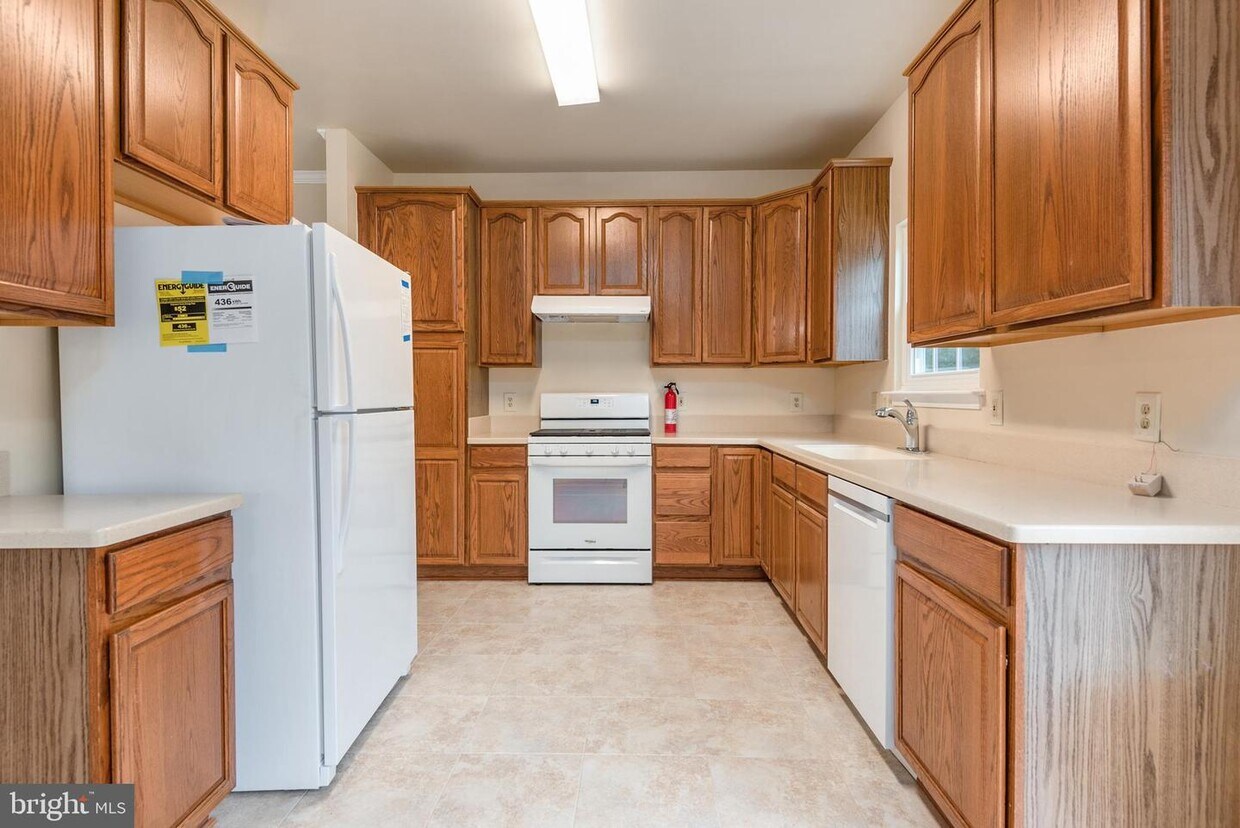 55 Catherine Ln Stafford VA 22554 House Rental In Stafford VA 55-catherine-ln-stafford-va-22554-house-rental-in-stafford-va
