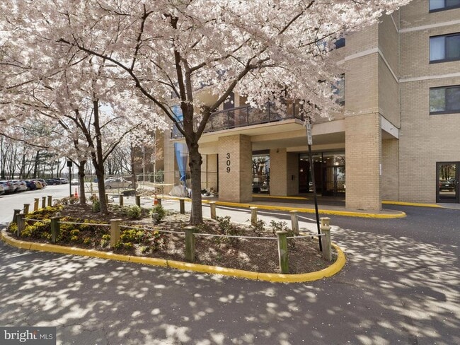 Foto del edificio - 203 Yoakum Pkwy