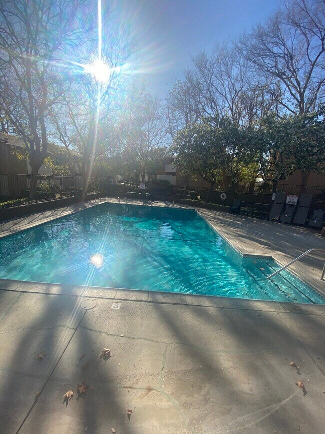 Pool - 10331 Lindley Ave