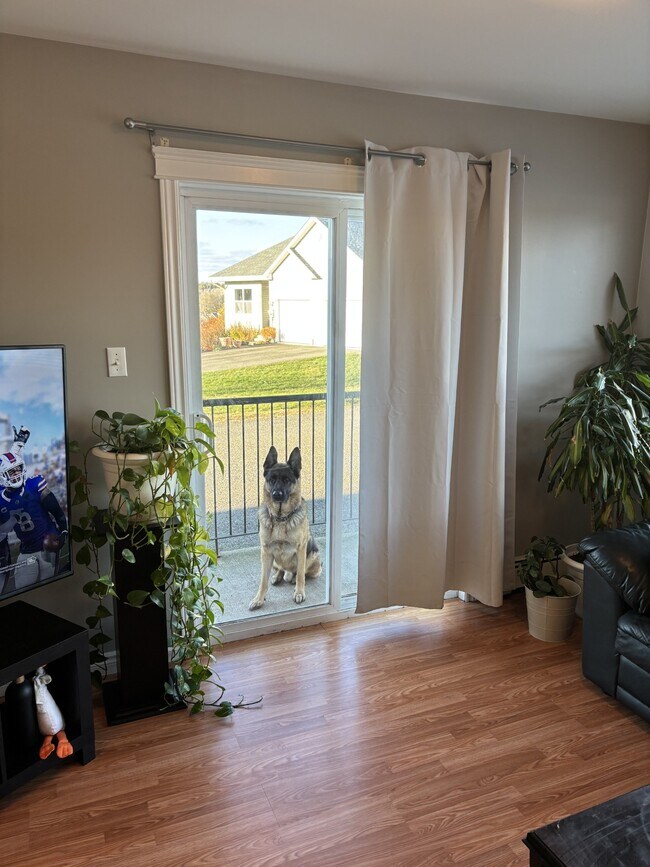 Photo du bâtiment - 15 Magazine St